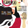 affiche 7è Nuits Flamencas d'Aubagne