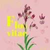 affiche Visite guidée de l'exposition Flos Vitae, Histoire naturelle des fleurs - Journées du Patrimoine 2022