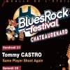 affiche BLUES ROCK FESTIVAL