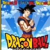 affiche DRAGONBALL IN CONCERT