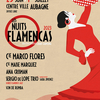 affiche 8èmes Nuits Flamencas d'Aubagne