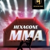 affiche HEXAGONE MMA