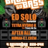 affiche BACK TO BASS - Dub to Jungle
